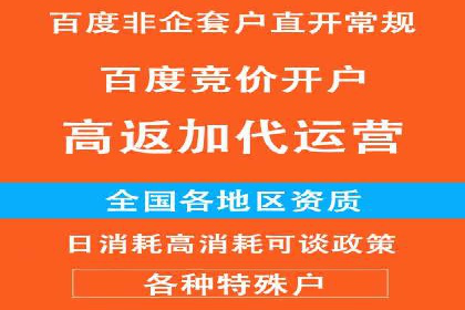 百度竞价排名服务的广告投放技巧与策略